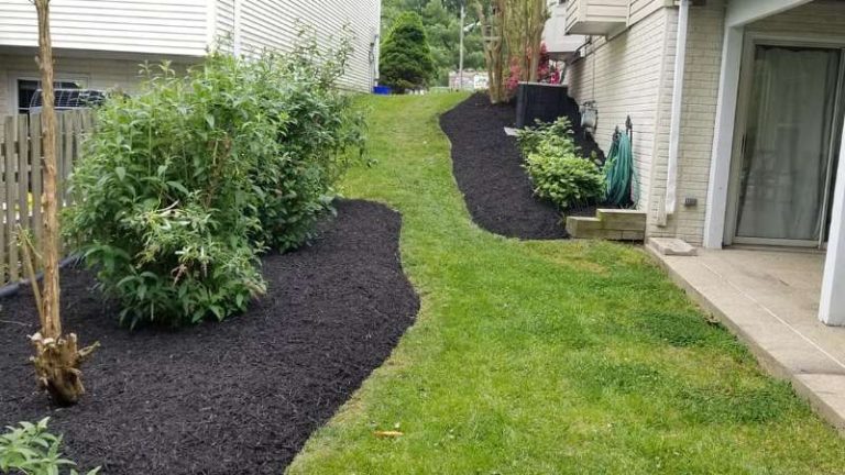 Ideas for a Sloped Yard
