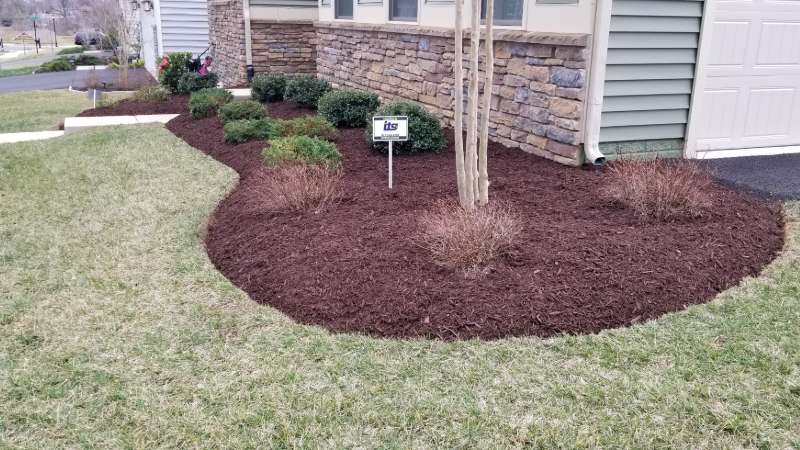 mulch installation